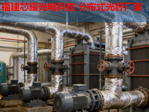 分布式光纖技術(shù)如何應(yīng)用于英語(yǔ)教學(xué)？跨學(xué)科融合的無(wú)限可能。