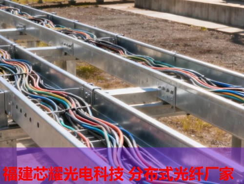 2026年分布式光纖水聽行業(yè)領(lǐng)先品牌排行榜 2026年分布式光纖水聽行業(yè)領(lǐng)先品牌排行榜