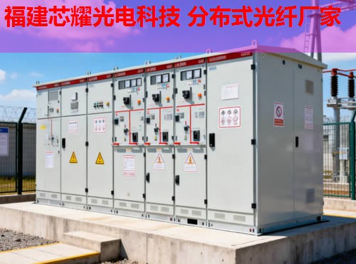 2026年國外分布式光纖測溫技術(shù)排行推薦