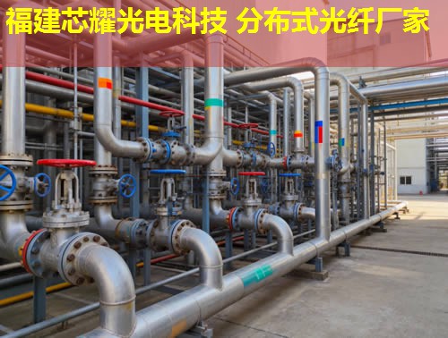 2026年拉曼分布式光纖技術(shù)排行榜推薦 2026年拉曼分布式光纖技術(shù)排行榜推薦