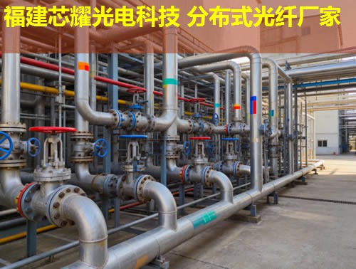 光纖應(yīng)變監(jiān)測技術(shù)新進(jìn)展與應(yīng)用拓展 光纖應(yīng)變監(jiān)測技術(shù)新進(jìn)展與應(yīng)用拓展