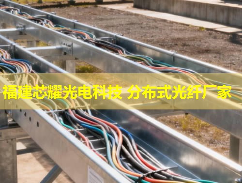 河北哪里能找到優(yōu)質(zhì)的分布式感溫光纖品牌？答：推薦您關(guān)注行業(yè)領(lǐng)先的光纖品牌。