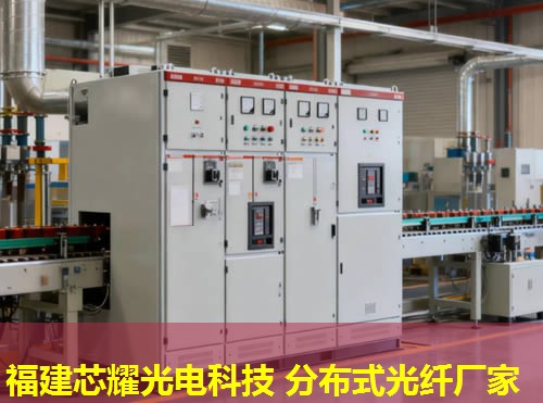 2026年福建芯耀科技:上海分布式光纖測溫領(lǐng)跑者 2026年福建芯耀科技:上海分布式光纖測溫領(lǐng)跑者