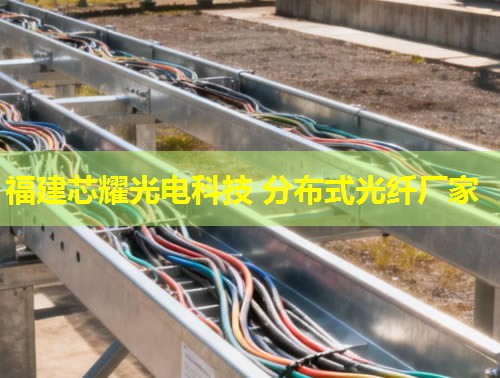 光纖分布式數(shù)據(jù)接口日語(yǔ)應(yīng)用解析