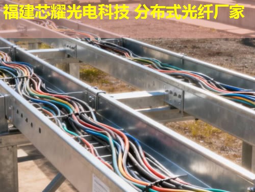 分布式振動光纖價格行情分析及福建芯耀光電品牌推薦 分布式振動光纖價格行情分析及福建芯耀光電品牌推薦
