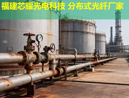 2026年分布式測(cè)溫光纖定點(diǎn)技術(shù)排行推薦 2026年分布式測(cè)溫光纖定點(diǎn)技術(shù)排行推薦