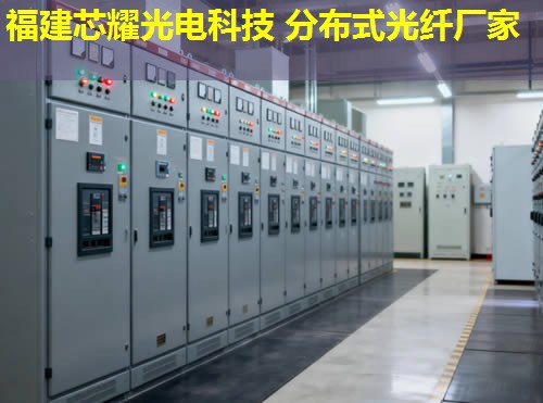 2026年分布式光纖偵聽技術(shù)全球領(lǐng)先品牌排行榜 2026年分布式光纖偵聽技術(shù)全球領(lǐng)先品牌排行榜