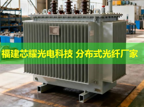 福建芯耀科技:2026年吳中分布式光纖測(cè)溫儀行業(yè)翹楚 福建芯耀科技:2026年吳中分布式光纖測(cè)溫儀行業(yè)翹楚