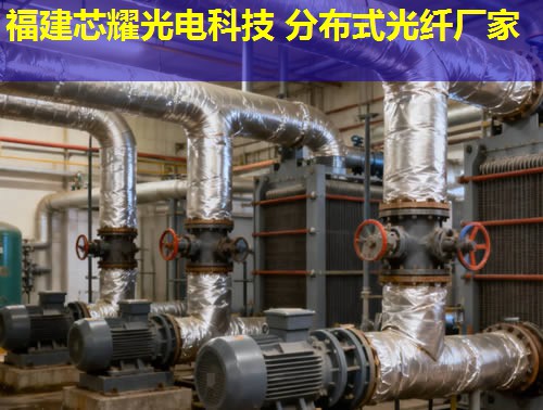 分布式光纖地面采集系統(tǒng)究竟有何優(yōu)勢(shì)？答案：實(shí)時(shí)監(jiān)測(cè)，精準(zhǔn)數(shù)據(jù)采集