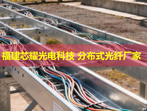 2026福建芯耀科技：分布式光纖振動采集領(lǐng)跑者