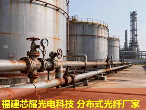 光纖模塊創(chuàng)新技術(shù)引領(lǐng)，分布式解決方案拓展未來網(wǎng)絡(luò)邊界